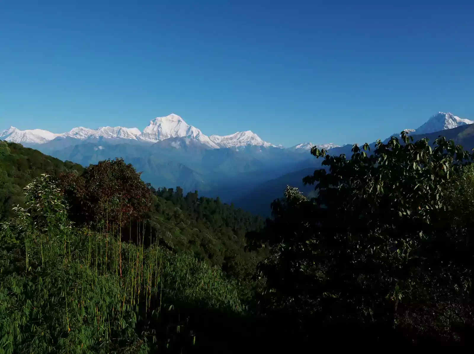 Poonhill Trekking