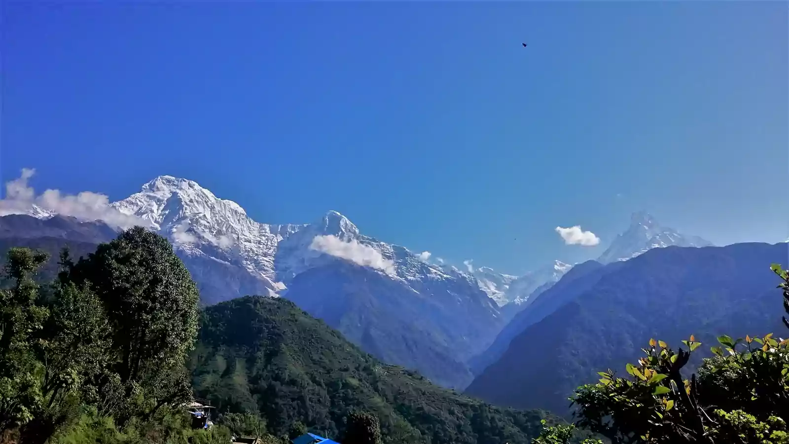Poonhill Trek